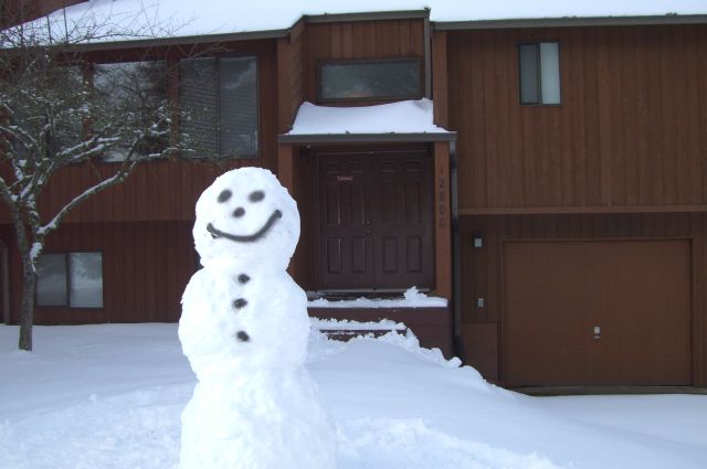 The Snow Man