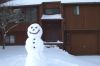 The Snow Man