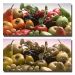 Colorblind Image