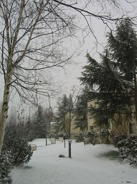 Snowfall of 2004