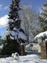 Boulevard Lanes entrance sign covered in snow.