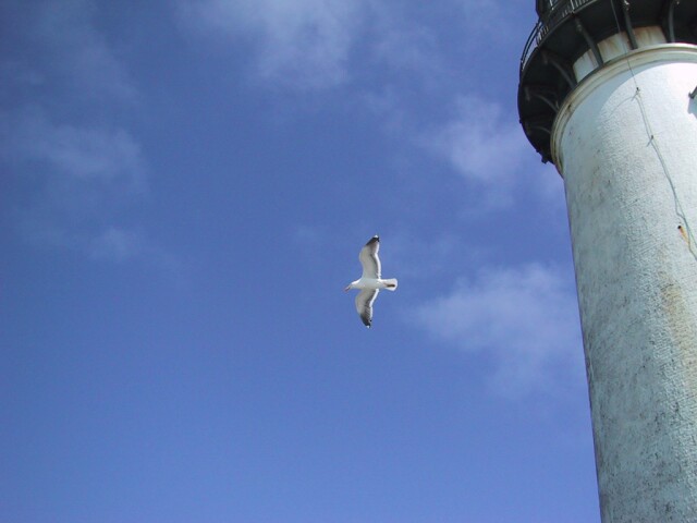 Another picture of the light house. 