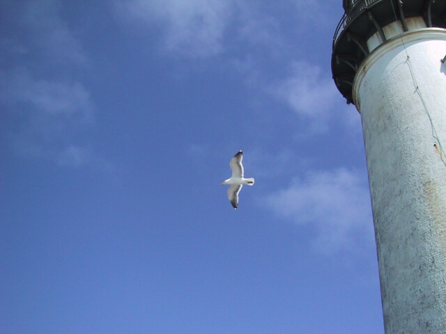 Another picture of the light house. 