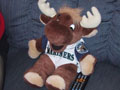 The Moose.  Enjoying watching the Mariners win the game for the 2000 wild card spot.